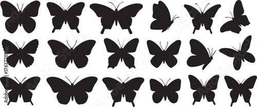 Black Silhouette Butterflies Set Assorted Wing Shapes, Isolated Insects, Flying Fantasy, Nature Illustration