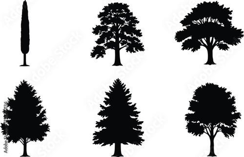 Collection of various tree silhouettes including pine, oak, cypress, and deciduous trees for forest, landscape, and nature design