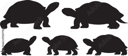 Black Silhouette Illustration of Several Turtles, Isolated on a White Background, in Various Poses