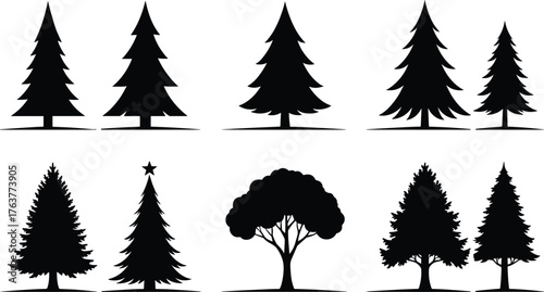 Set of eight black tree silhouettes, pine and deciduous trees, vector forest icons, natural woodland shapes, evergreen and oak design
