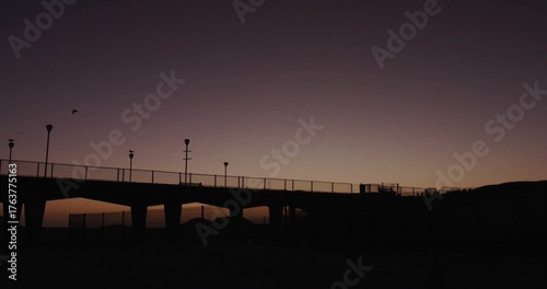 Displaying pier silhouette stretching across coastal horizon, with lampposts, railings, flying bird