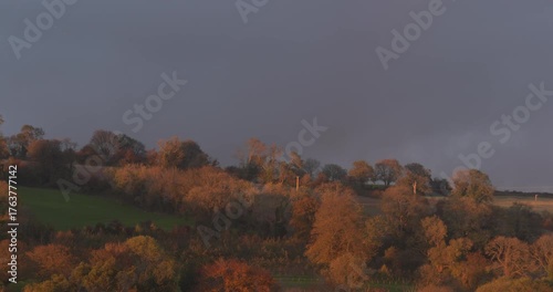 Autumn Fall forest tree golden brown andscape dark stormy sky