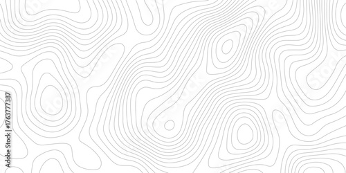 topographic grey contour lines creating a seamless pattern design  geometric strip grid line topo map technology modern design white background.	