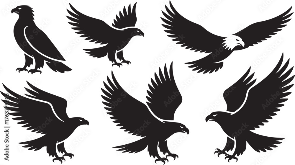 Fototapeta premium Six Black Eagle Illustrations in Flight, Landing, and Perched on White Background