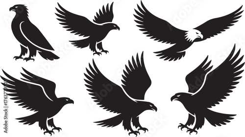 Six Black Eagle Illustrations in Flight, Landing, and Perched on White Background