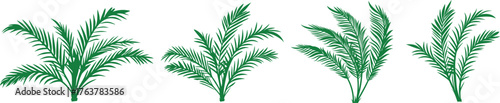 Tropical palm tree illustration with lush green leaves for summer design projects. Exotic nature element for beach, vacation, and island themes. Detailed botanical greenery art on a white background.