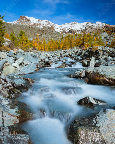 Stunning autumn landscape in Alta Val d'Ayas, Aosta Valley. Scenic view of Monte Rosa glaciers and a rushing mountain stream flowing through golden larch forests under a sunny blue sky in the Alps.