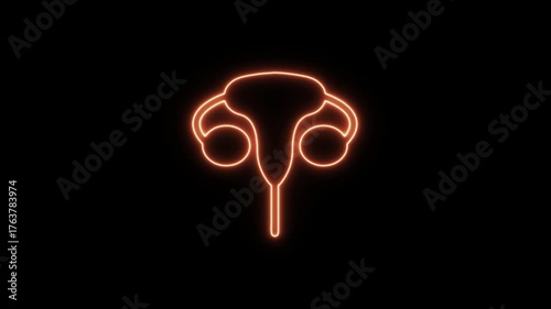 Orange glowing neon 3d medical rendering of female reproductive system organs with fallopian tubes and ovaries. Neon Icon. Neon Sign