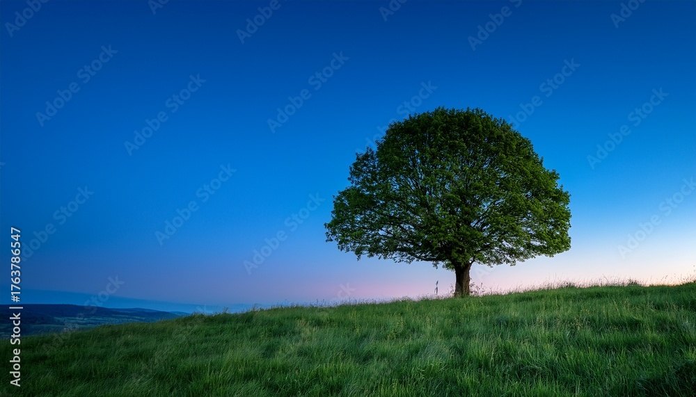 Obraz premium solitary green tree atop a grassy knoll against a deep blue twilight sky