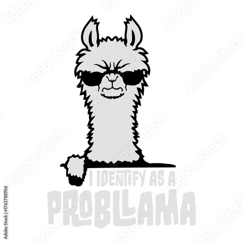 I Identify As A Probllama Cool Funny Llama Problem Quote