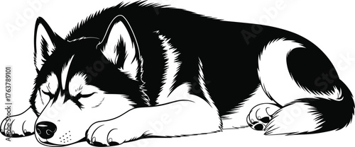 Sleeping husky dog illustration, cute pet resting, black and white vector art, domestic animal drawing, peaceful canine artwork, adorable puppy design print