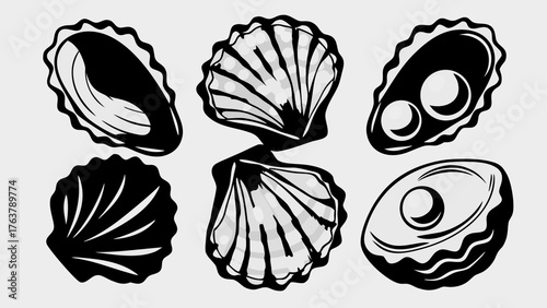 Elegant collection of black and white stylized shells and oysters, perfect for design projects.