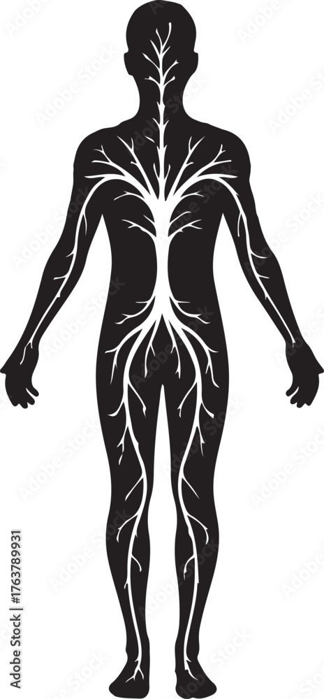 Fototapeta premium silhouette of a human body with tree branches extending from the shoulders and torso, symbolizing connection to nature and the interconnectedness of life, outline icon on