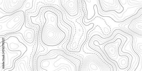 Stylized topographic contour map. Geographic line mountain relief. Abstract lines or white background. Cartography, topology, or terrain path concept. Vector illustration with editable stroke