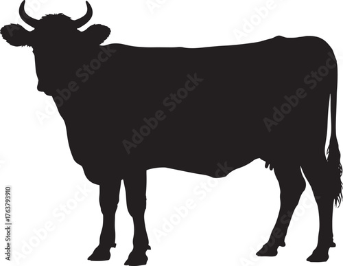 Black Silhouette of a Dairy Cow Standing on White Background Vector Illustration Farm Animal Art