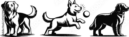 Black and white dog illustrations, playful dog jumping, standing dog pose, pet silhouette artwork, canine sketch, animal motion, dog behavior vector set