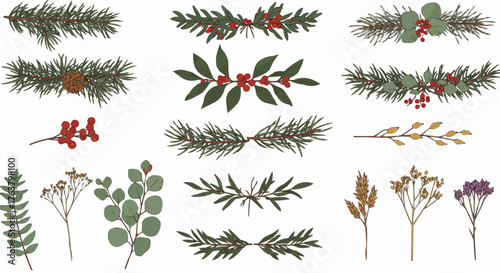 Christmas foliage with red berries and green leaves, hand-drawn vector elements for seasonal projects.