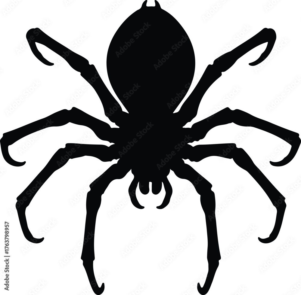 Obraz premium Vector spider arachnid silhouette creepy crawly insect silhouette illustration