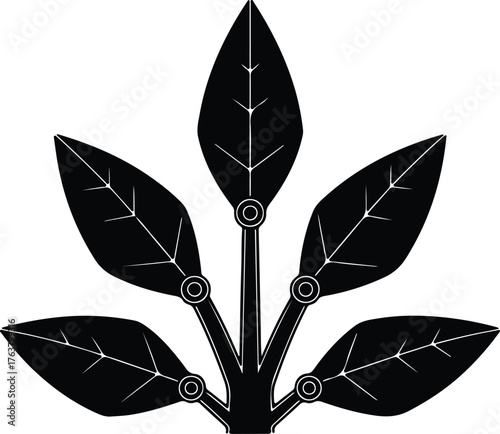 Vector stylized leaves branch black and white silhouette illustration