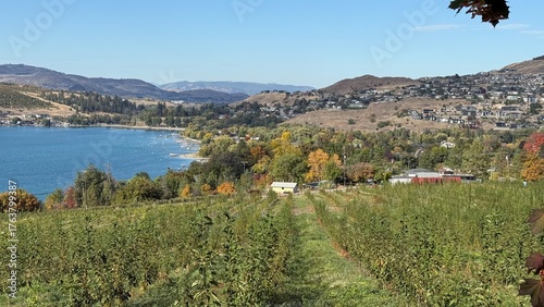 Canvastavla A scenic orchard and lake in Vernon, British Columbia