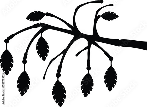 Vector tree branch with leaves hanging down silhouette illustration