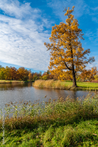 Beautiful autumn landscape in Alexander Park from the Facade Pond.