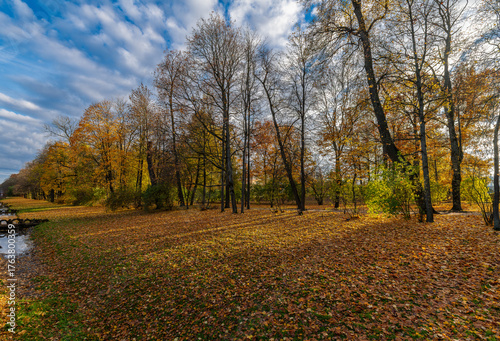 Beautiful autumn golden landscape. Tsarskoe Selo, Pushkin, Saint Petersburg, Russia.
