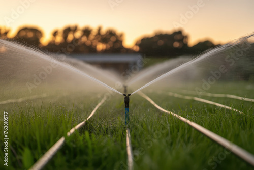 Wallpaper Mural Smart irrigation system spraying water across green grass, enhancing growth and sustainability. sunset creates warm glow, highlighting efficiency of modern agricultural practices Torontodigital.ca