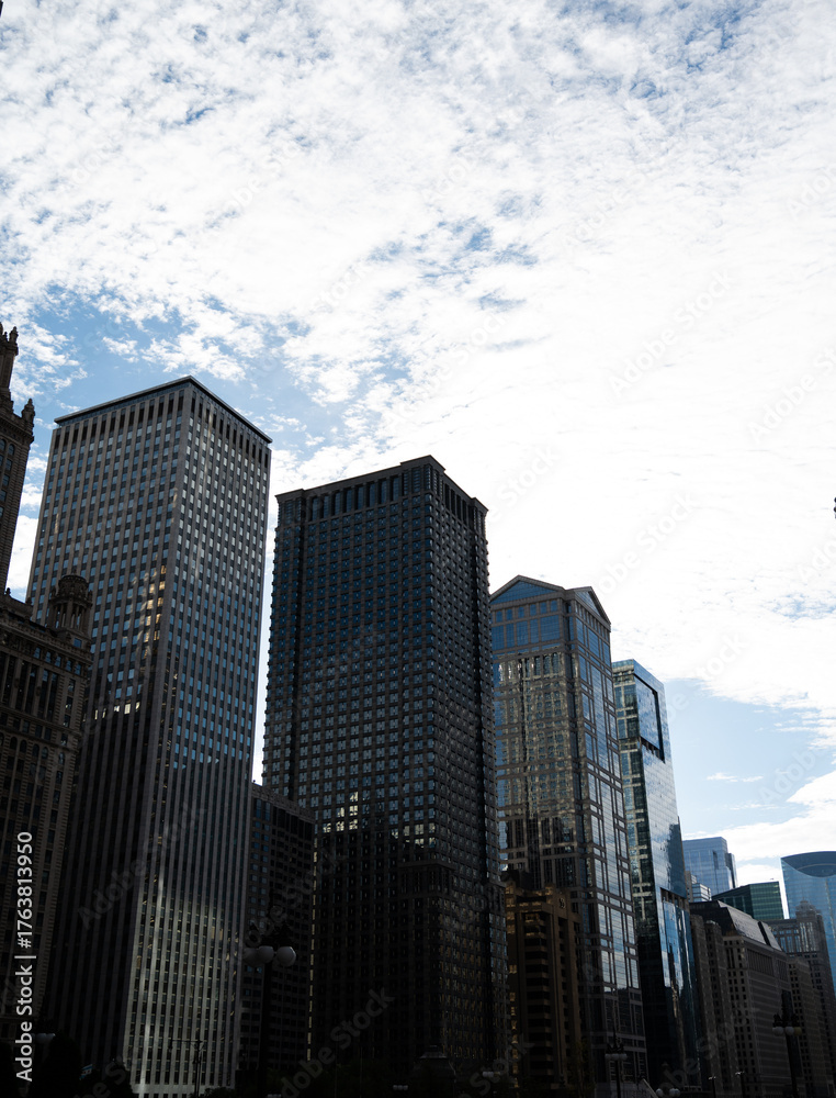 Fototapeta premium downtown chicago city skyscrapers