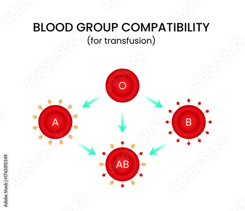 Blood Transfusion in Compatibility Chart