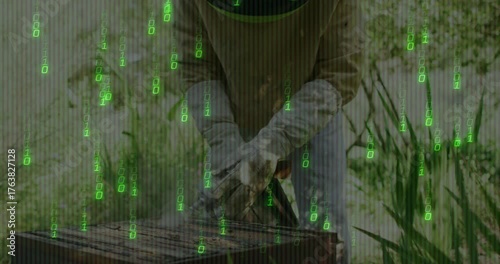 Wallpaper Mural Senior beekeeper gripping hive tool and prying lid off hive for checking beehive health Torontodigital.ca