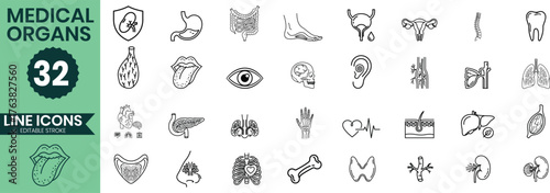 Collection of 32 hand drawn medical organ icons for healthcare and science education
