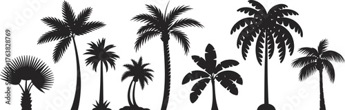Palm tree silhouettes, tropical plant variety, different leaf shapes, exotic landscape elements, botanical diversity, flat vector illustration, black isolated design