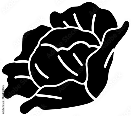 fresh illustration cauliflower silhouette food logo vegetarian icon vegetable outline diet organic healthy cabbage nutrition agriculture plant nature white shape with vector graphic background