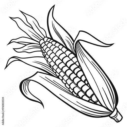 Detailed black and white line drawing illustration of a human ear with medical and anatomical focus