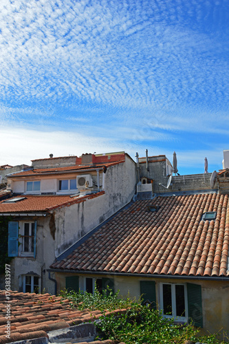 Tiled roofs of old houses
