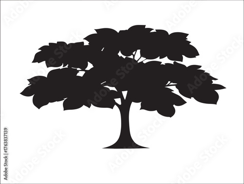 Elegant ash tree silhouette in natural 2D vector line drawing
