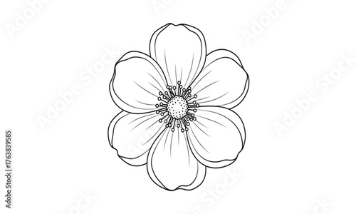 White dahlia flower isolated on white and black background surrounded by colorful spring and summer floral bouquet elements