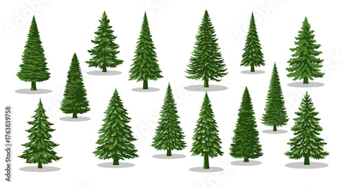 Collection of natural evergreen coniferous trees in various shapes and sizes, depicting fir and spruce, perfect for holiday decoration, winter landscape scenes, or ecological illustrations