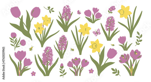A vibrant collection of illustrated spring garden flowers. Set of isolated tulips, daffodils, hyacinths, and crocuses for seasonal design concepts