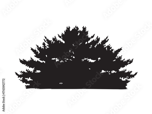 Evergreen cedar tree form minimal clean 2D vector illustration