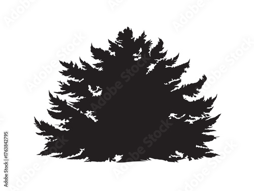 Classic cedar tree design natural 2D vector line art