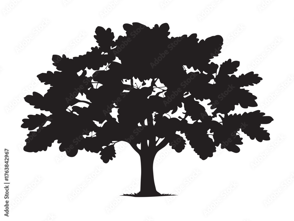 Fototapeta premium Chestnut tree broad canopy silhouette in graceful 2D vector line art