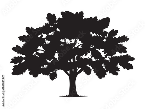 Chestnut tree broad canopy silhouette in graceful 2D vector line art