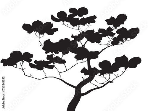 Beautiful dogwood tree illustration minimal 2D vector line art