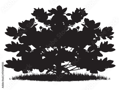 Evergreen juniper tree design illustration in detailed 2D vector line art format  