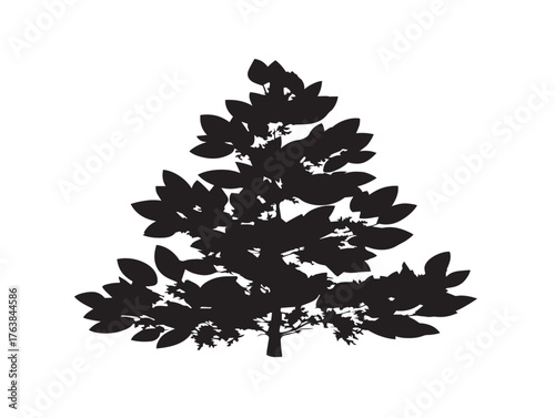 Elegant juniper tree outline in artistic 2D vector line art drawing  