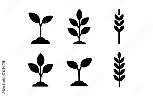 Silhouette icons of plant growth stages and wheat ears for agriculture designs