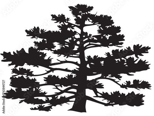 Forest larch tree design illustration in minimal 2D vector line art style  