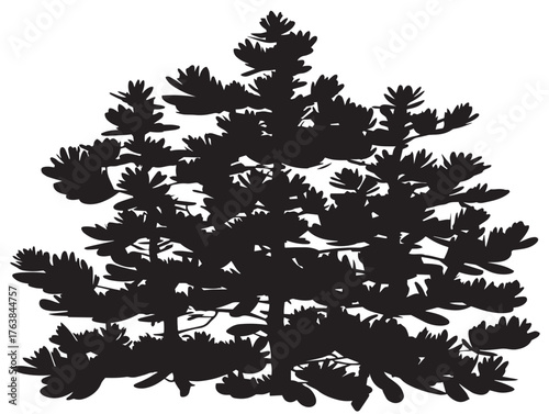 Stylized larch tree outline in artistic 2D vector line art design  